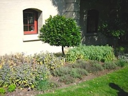 Le jardin symbolisant les vertus théologales