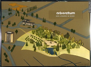 Plan de l'Arboretum, Université de Moncton, 1981
