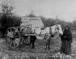 Charrette de la rivière Rouge couramment utilisée à l'époque par les Métis qui étaient de grands commerçants